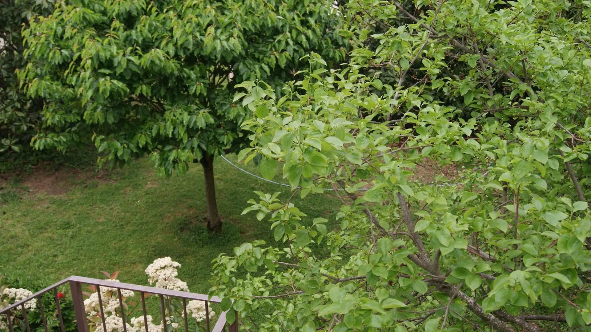 Apartamento Con Encanto L'Estany 1 Banyoles Spain