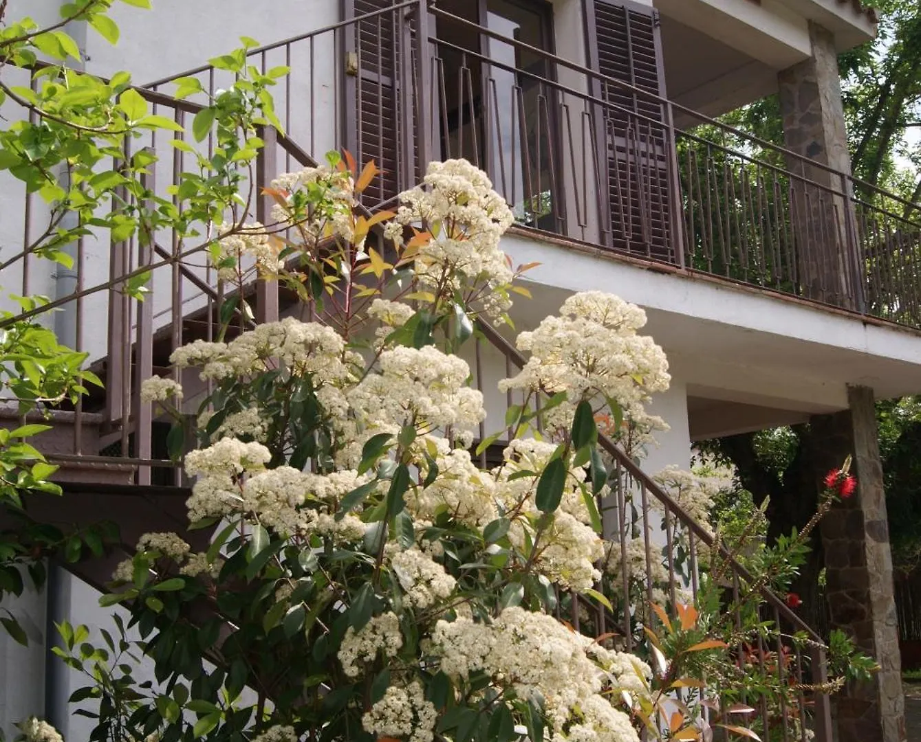 Apartamento Con Encanto L'Estany 1 Banyoles 0*,